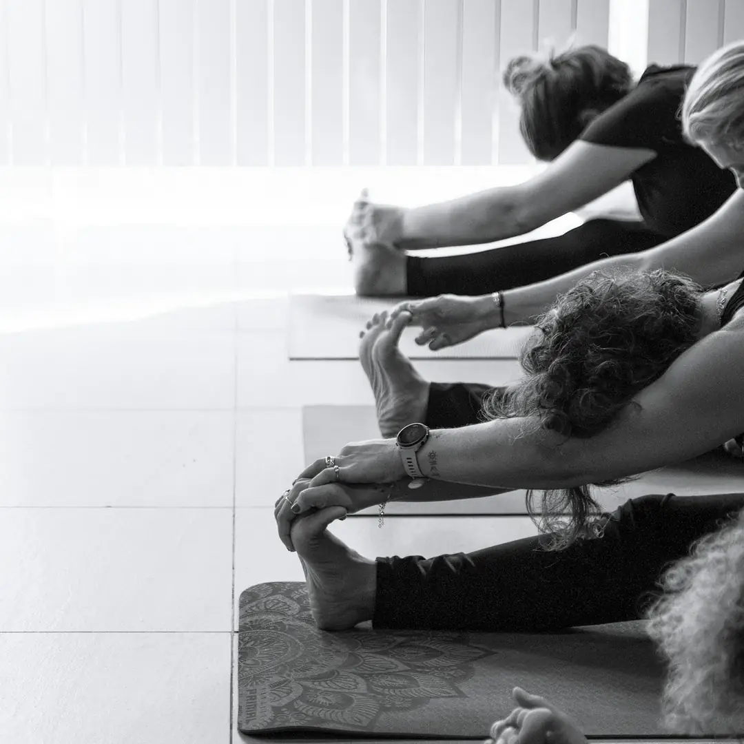 Women stretching on mats in a studio